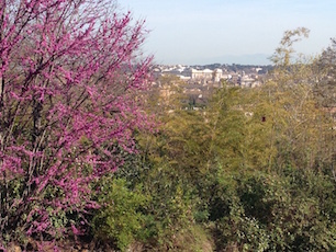 spring