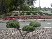 Windsor in plants