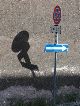 Nice Shadow