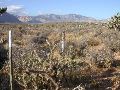 Red Rock Canyon