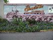 Goode's Barbeque